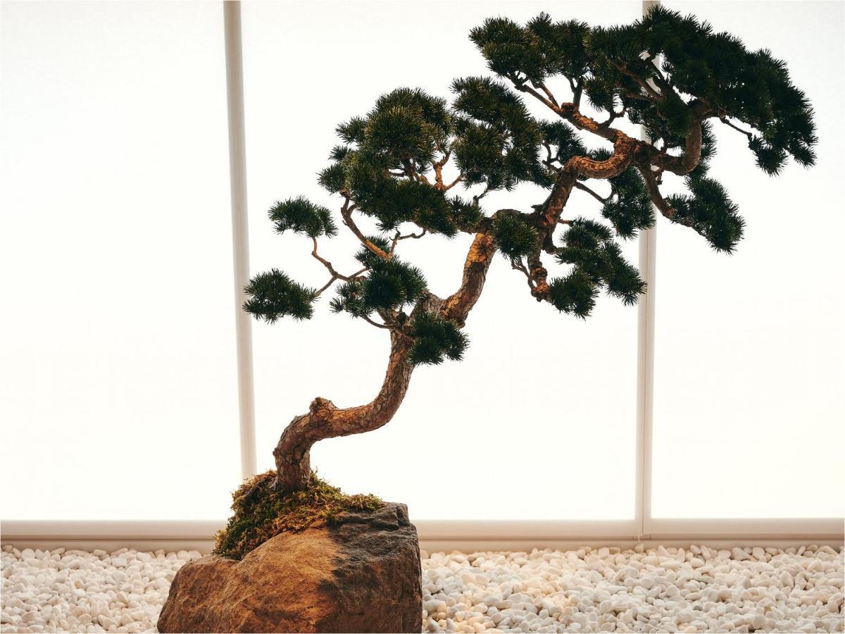 فندق Nol Kyoto Sanjo المظهر الخارجي الصورة